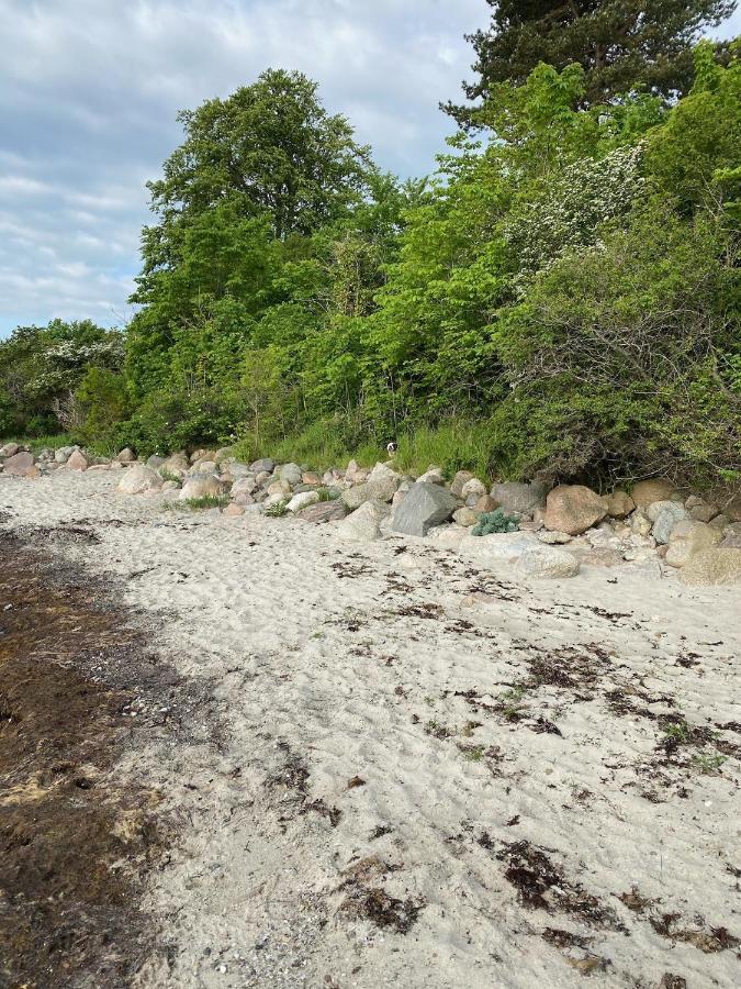 Feriehus Med Havudsigt Spodsbjerg Εξωτερικό φωτογραφία